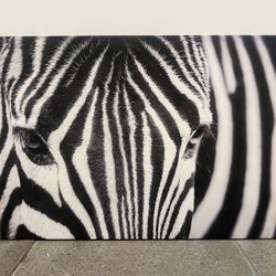 BLACK & WHITE ZEBRA CANVAS PRINT – 40” X 30” – MODERN SAFARI WALL ART 