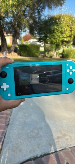 Nintendo switch light