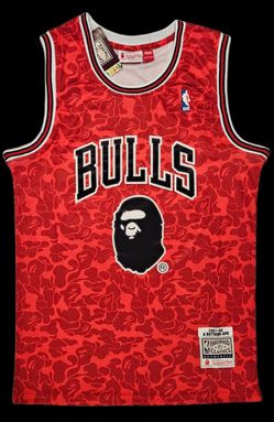 Bape Chicago bulls nba jerseys