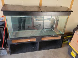120 Gallon Fish Tank With Stand