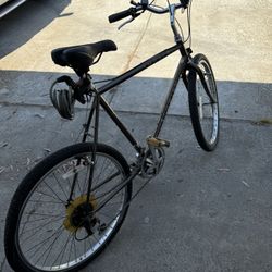 Schwinn Bike