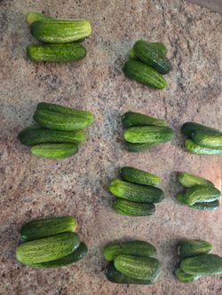 Cucumbers