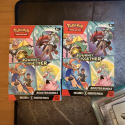 Pokemon Journey Together 