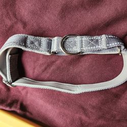Dog Collar Gone Today