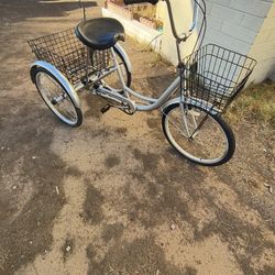 Adult Trike 