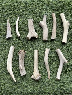 Dog Antler chews