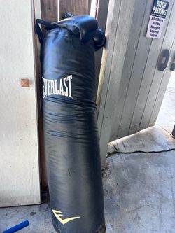 Everlast Heavy Punching Bag