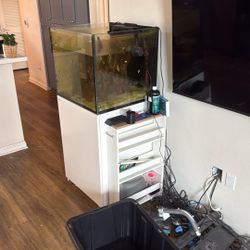 Brand New Red Sea Refer 200 G2+