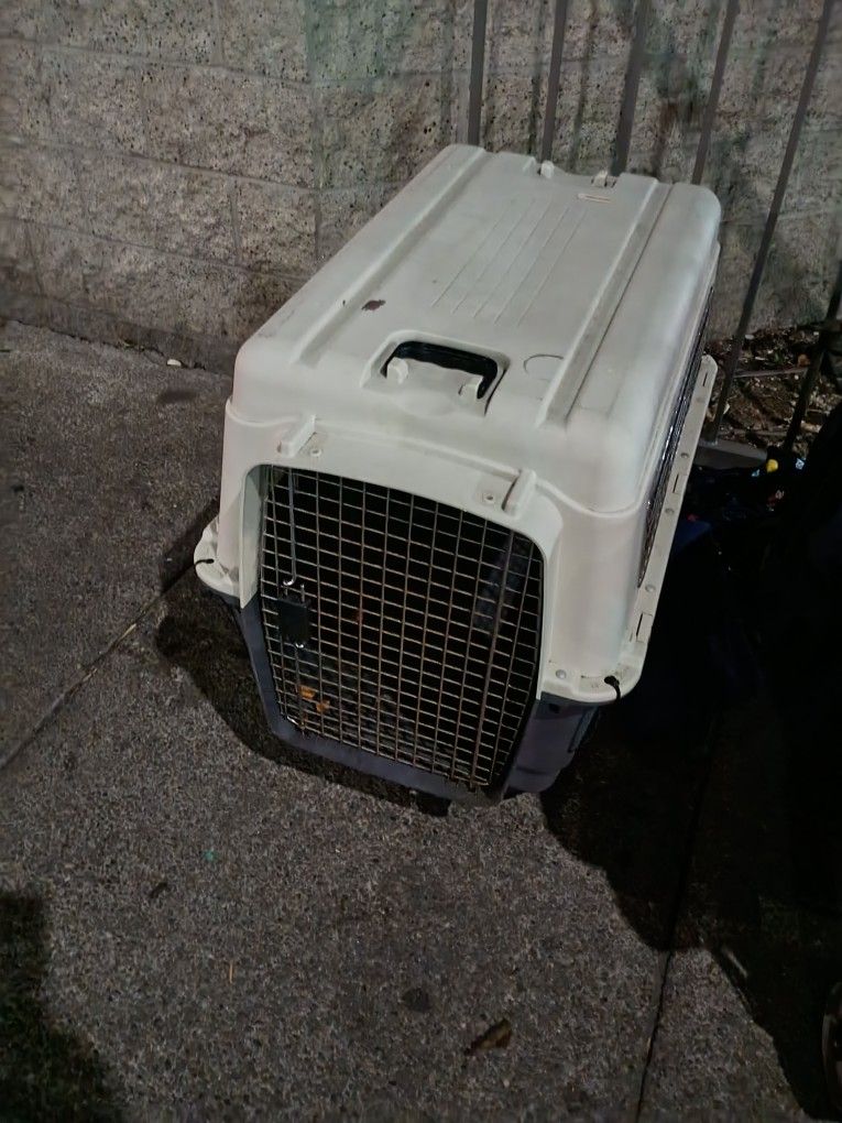 XXL pet carrier with wheels and handles