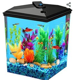 Aqua View 2.5 Gallon Aquarium For BETA FISH.