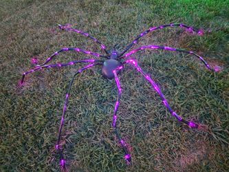 Araña grande
