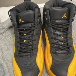 Jordan 12 Size 10.5