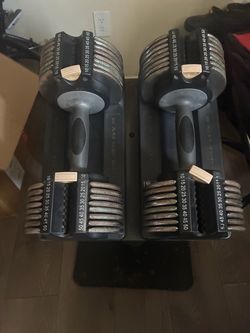 Golds gym dumbbell weight stand/rack