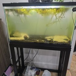 29 Gallon Fish Tank With Stand