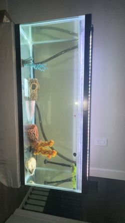 55 GALLON TANK