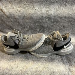 Nike Zoom LeBron NXXT Gen TB Promo Wolf Grey Size 13