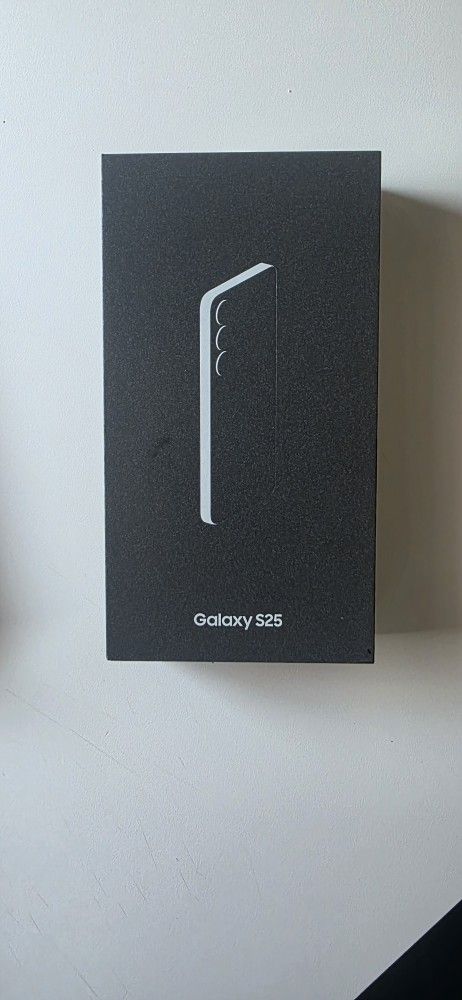 Samsung Galaxy S25