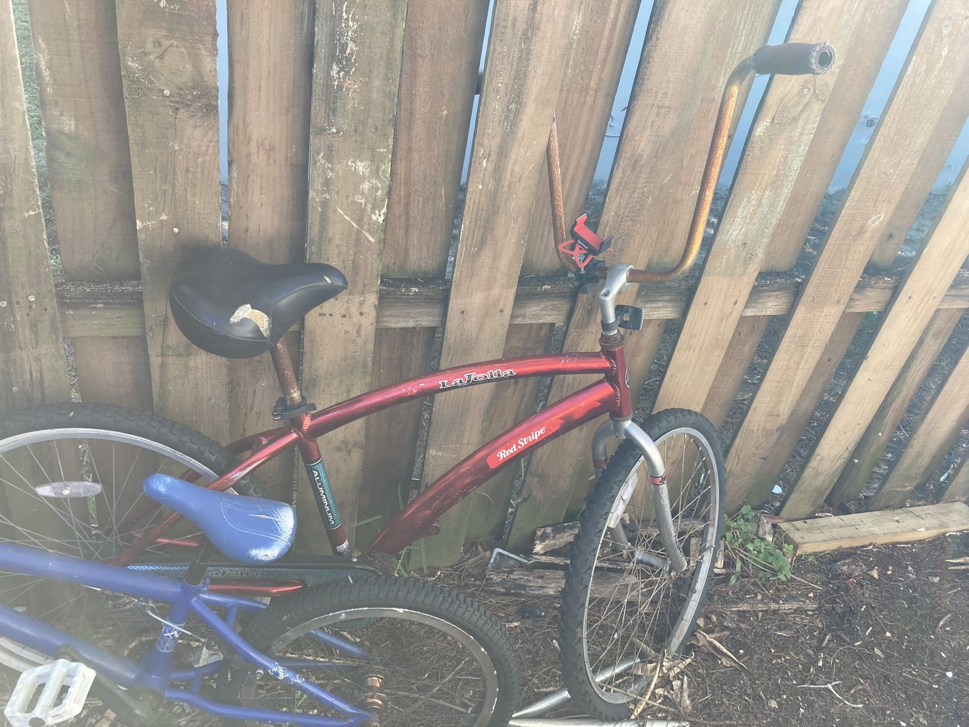 2 Bikes For $30