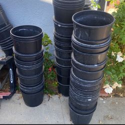 3 Gallon Pots
