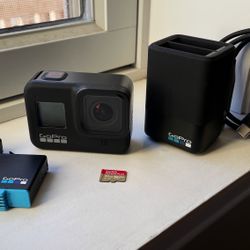 GoPro Hero 8 Black w/ Extras