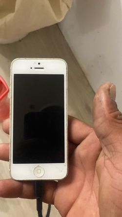 Apple iPhone 5 White/Gold