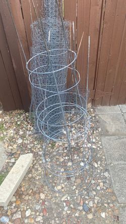 Tomatoes cage