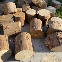Wood Stumps 