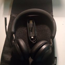 Evolve2 65 Headphones 