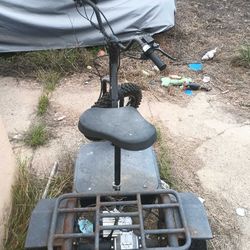 3 Wheel Electric Bike 