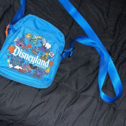 Disneyland Crossbody bag