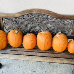 6 Calabazas Orgánicas