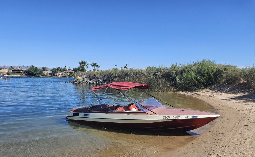 1974 American Egale