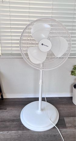 Fan