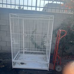 Large Parrot Macaw Cage, Moving Must Go 