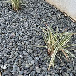 Mexican beach pebbles -$10 Or $370 a Ton