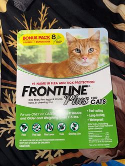 Flea Treatment