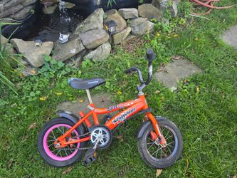 Schwinn Kids bike