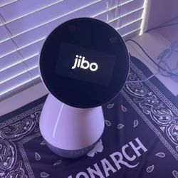 Jibo Family Robot