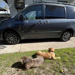 2008 Toyota Sienna