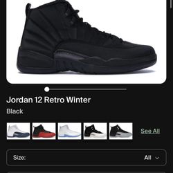 Jordan 12 All Black Retro Winter 