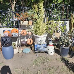 3 Level Over 4 Foot Plant Stand 