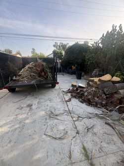 Arborist-Jnk Cleanup