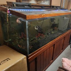 180 Gallon Fish Tank