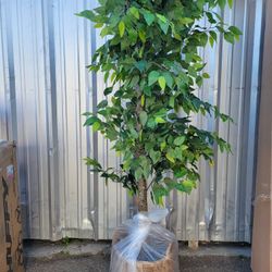 💥P38#6 $95 artificial tree 75ft 
