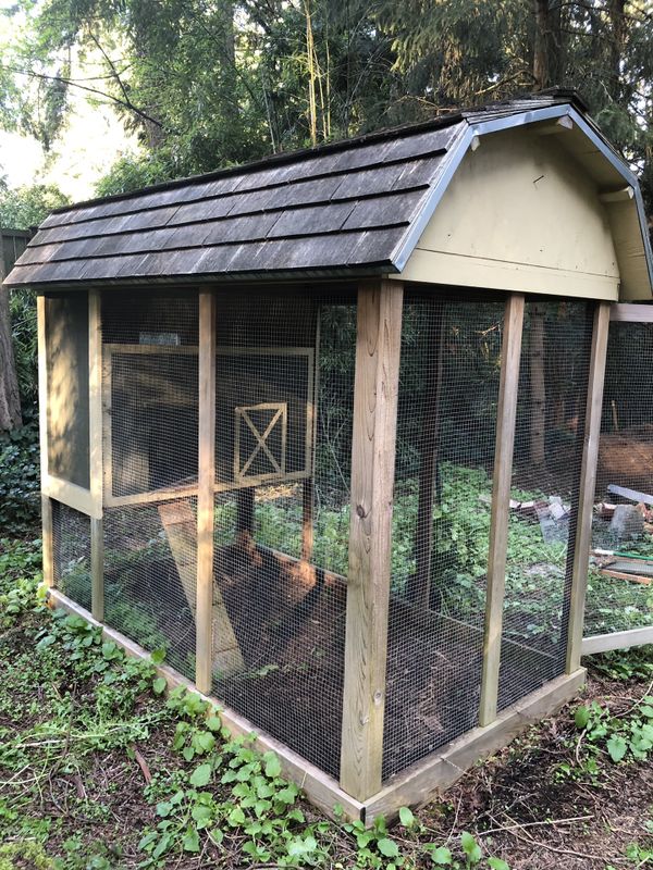 Custom Built Chicken Coop for Sale in Seattle, WA - 3ae38ab7390D4e4aa82a1e86c9200593 Custom Built Chicken Coop for Sale in Seattle, WA - 3ae38ab7390D4e4aa82a1e86c9200593