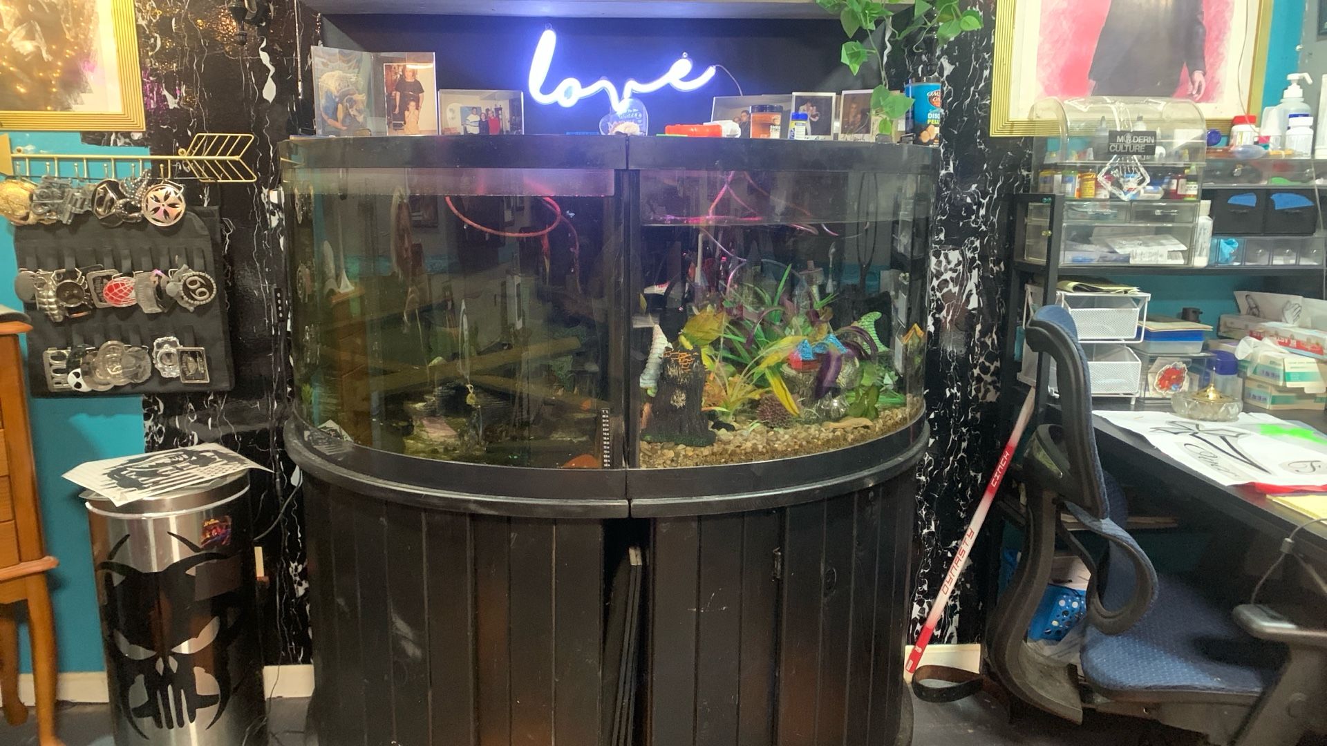 2–60gallon Bow Front Corner Fish Tanks