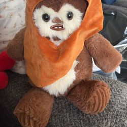 Ewok From Star Wars