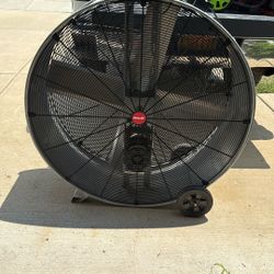 New Fan 