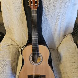 New Firebrand Acoustic Guitar And Gig Bag