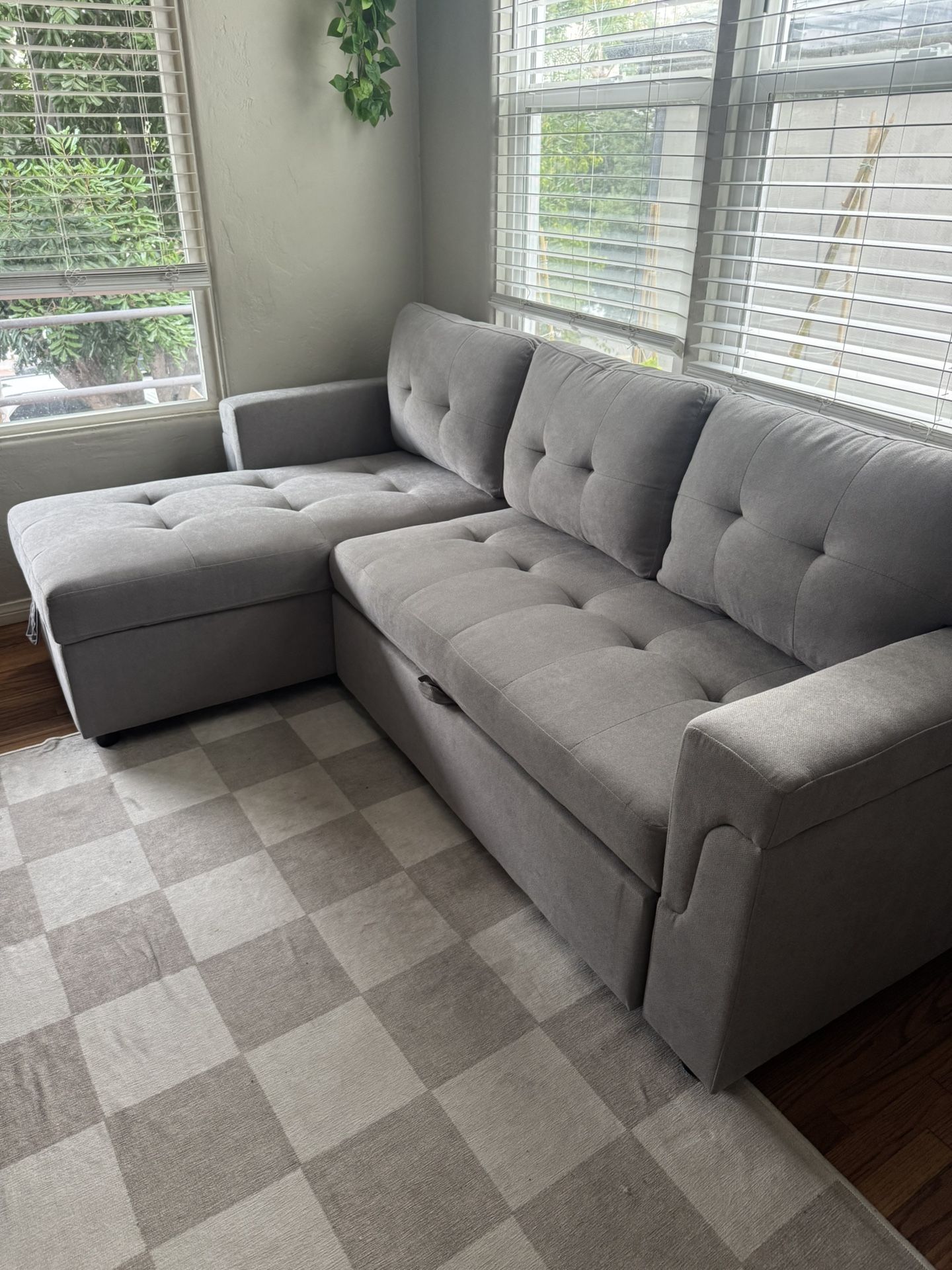 Sleeper Sofa Pullout Couch